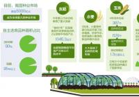 自主品种成为主导 中国正从种子大国迈向种业强国