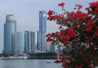 “数字一线城市”出炉 二线城市靠什么实现逆袭？