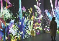 科技打造“盗梦空间” 呈现多种艺术形态