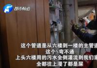 郑州一男子因家中管道堵塞找物业询问却被咬烂鼻子?郑州胜文华物业公司：摔跤时牙齿挂的