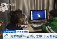 又一行业被“宠”到齁！宠物摄影门店暴增300%