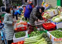 农业农村部：加大支持保障 强化蔬菜等产品生产保供