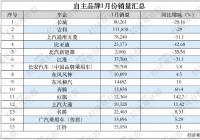 中国市场汽车销量在1月出现大幅下滑 多家自主品牌逆势增长