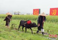 流行“竖蛋”游戏 你还知道哪些春分习俗？