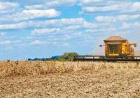 巴西农户:对中国经济韧性充满信心 巴西农户:对中国经济韧性充满信心