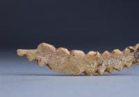 河南巩义双槐树遗址都有哪些重要发现？