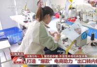 打造“爆款”电商 在外贸危中寻机转型突围