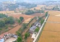 我国主产区夏粮进入成熟期 小麦单产有望高于上年