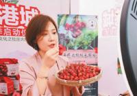 直播实战课程火热 校企亟待加强合作