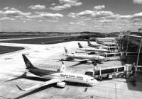 航空业复苏进行时：航班数量有所增加