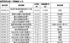 A股战战兢兢 股票型基金表现良莠不齐