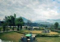 抢收抢种显实力 新模式助农产品提“身价”