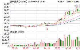 辽宁成大8月4日融券偿还量126,900股