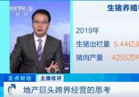 地产巨头跨界 背后有什么逻辑或原因？