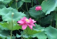 行走在熟悉之地 “微旅行” 发现别样好风景