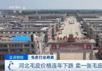 曾经2万元如今7000 毛皮行业到底发生了什么？