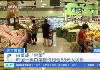 韩国农作物收成大减 白菜价格暴涨