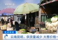 几天内价格涨两倍 大葱怎么了？