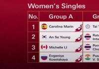 世界羽联总决赛分组 马林抽到上上签