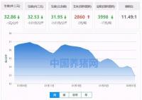 今日全国生猪外三元每公斤下跌1元 今日全国生猪外三元每公斤下跌1元