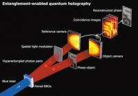 “量子飞跃”帮助揭示更好的细胞细节