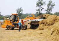 这边独好 中国GDP增速全国为正 这边独好 中国GDP增速全国为正