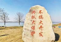 为什么政策性金融发挥了重要作用？