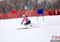 雪上项目愈发受到中国大学生的欢迎