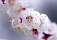 超四成家庭旅游度假是“上班族”