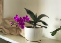 医美行业拥抱新一代消费市场