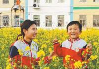 如何进一步提高学前教育入园率？