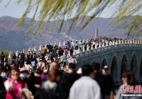 清明假期你怎么过的？