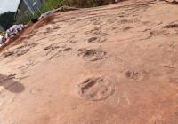 如何做好恐龙足迹群化石的保护? 如何做好恐龙足迹群化石的保护?