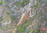 古代人类有哪些生存智慧？