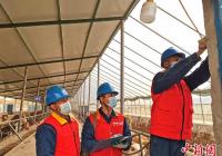 新疆电网售电量连续3个月实现两位数增长