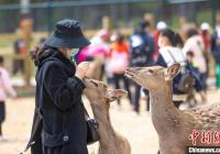 “成绩单”亮眼 长春乡村生态游受青睐