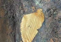 3000年前的三星堆生活着怎样的先民？