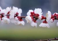 一个人就是一个团队 旅游博主的数量增长迅猛