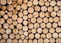 无米下锅 进口木材“价涨货缺”局面持续加剧 无米下锅 进口木材“价涨货缺”局面持续加剧