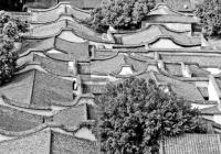 如何避免历史文化遗产屡遭破坏、拆除？