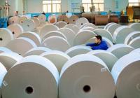 纸业股掀起涨停潮 下游经销商们却“叫苦不迭”