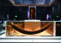 三星堆为什么必须有自己的文字？