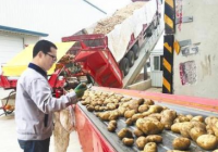 以新型工业产业作为“新靶心” 县域经济显示出强大的可重塑性 以新型工业产业作为“新靶心” 县域经济显示出强大的可重塑性