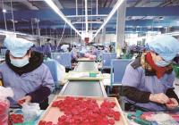 2020年国内玩具销量持续五年保持增长