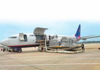 郑州—马尼拉航线开通 运输资质日渐丰富