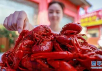 易积聚病原菌和寄生虫 小龙虾头部最好不要吃