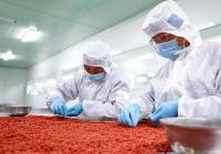 吸引参展企业超过200家 第四届枸杞产业博览会来了