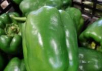 国内生鲜电商平台前赴后继征战不止 谁能成“盈”家? 国内生鲜电商平台前赴后继征战不止 谁能成“盈”家?