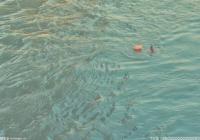 减肥瘦身又清凉 夏季游泳前必须做准备活动