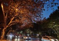 需求不足影响持续发酵 7月汽车整体市场需求放缓 需求不足影响持续发酵 7月汽车整体市场需求放缓